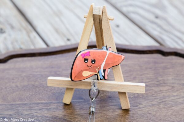 Liver Badge Reel, Gastroenterologist, Hep.atologist, Doctor Office, Nurse Medical ID Holder, Retractable Badge Reel, Interchangeable Badge