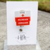 Transplant Team Badge Reel,  Organ Donation Badge Reel, RN ID Holder, Retractable Acrylic Badge Reel, Nurse Gift