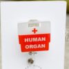 Transplant Team Badge Reel,  Organ Donation Badge Reel, RN ID Holder, Retractable Acrylic Badge Reel, Nurse Gift