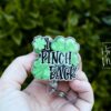 il_fullxfull.5855171401_dnj4 St. Patrick's day Badge Reel, I Pinch Back, Nurse Badge Reel, Retractable ID Holder, Interchangeable, Glitter Badge Reel