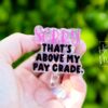 Sorry that's above my pay grade Badge Reel, Funny Nurse ID Holder, Retractable Badge Reel, Nurse Gift, Interchangeable Lanyard