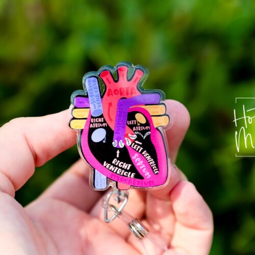 Labeled Anatomical Heart Badge Reel, Cardiologist Badge Reel, Nurse Badge Reel, Retractable ID Holder, Interchangeable, Glitter Badge Reel