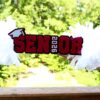 Senior Cheer Stick, Spirit Stick, Game Day Stick, Personalized Name Cheer Sign With Pom Poms
