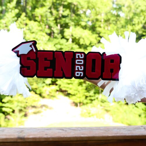 Senior Cheer Stick, Spirit Stick, Game Day Stick, Personalized Name Cheer Sign With Pom Poms