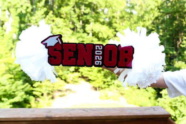 Senior Cheer Stick, Spirit Stick, Game Day Stick, Personalized Name Cheer Sign With Pom Poms