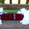 Senior Cheer Stick, Spirit Stick, Game Day Stick, Personalized Name Cheer Sign With Pom Poms