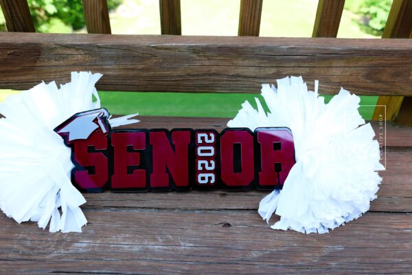 Senior Cheer Stick, Spirit Stick, Game Day Stick, Personalized Name Cheer Sign With Pom Poms