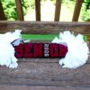 Senior Cheer Stick, Spirit Stick, Game Day Stick, Personalized Name Cheer Sign With Pom Poms