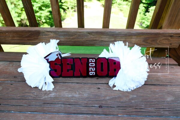 Senior Cheer Stick, Spirit Stick, Game Day Stick, Personalized Name Cheer Sign With Pom Poms