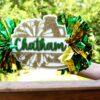 il_fullxfull.7048200602_cinq Personalized Cheerleader Spirit Stick with Pom Poms | Custom Game Day Sign for Pep Rallies & Sports Events