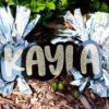 Name Cheer Stick, Spirit Stick, Game Day Stick, Personalized Name Cheer Sign With Pom Poms