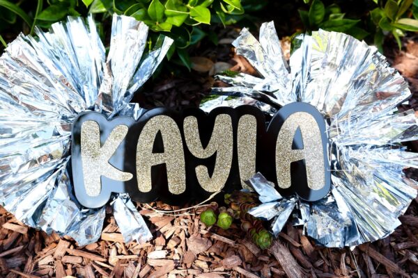 Name Cheer Stick, Spirit Stick, Game Day Stick, Personalized Name Cheer Sign With Pom Poms