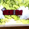 Senior Cheer Stick, Spirit Stick, Game Day Stick, Personalized Name Cheer Sign With Pom Poms