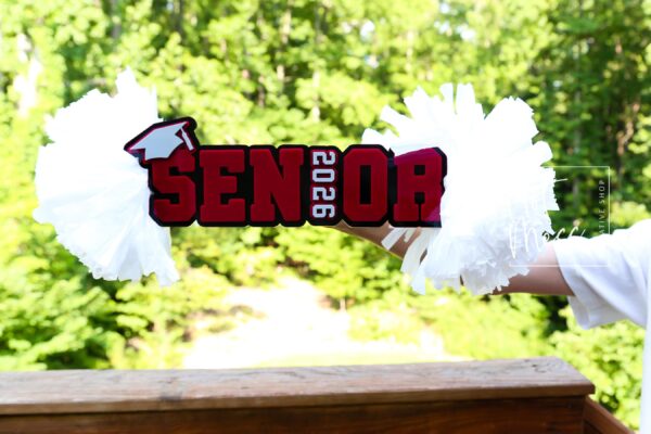 Senior Cheer Stick, Spirit Stick, Game Day Stick, Personalized Name Cheer Sign With Pom Poms