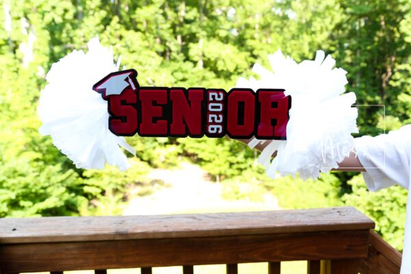 Senior Cheer Stick, Spirit Stick, Game Day Stick, Personalized Name Cheer Sign With Pom Poms